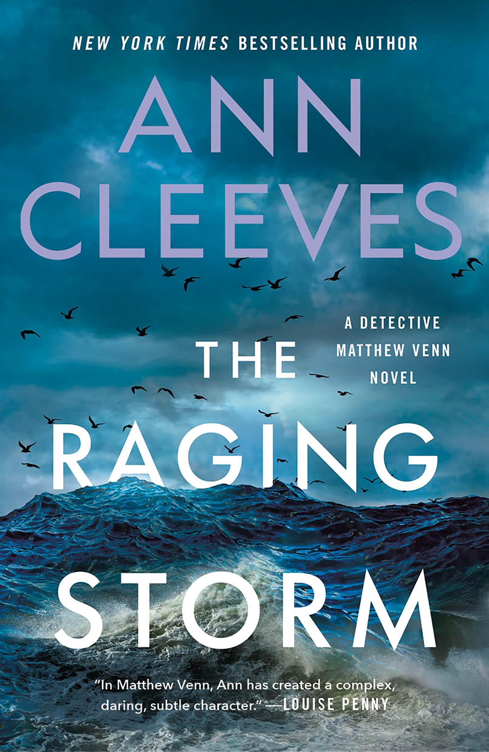 The Raging Storm (Matthew Venn series, 3)