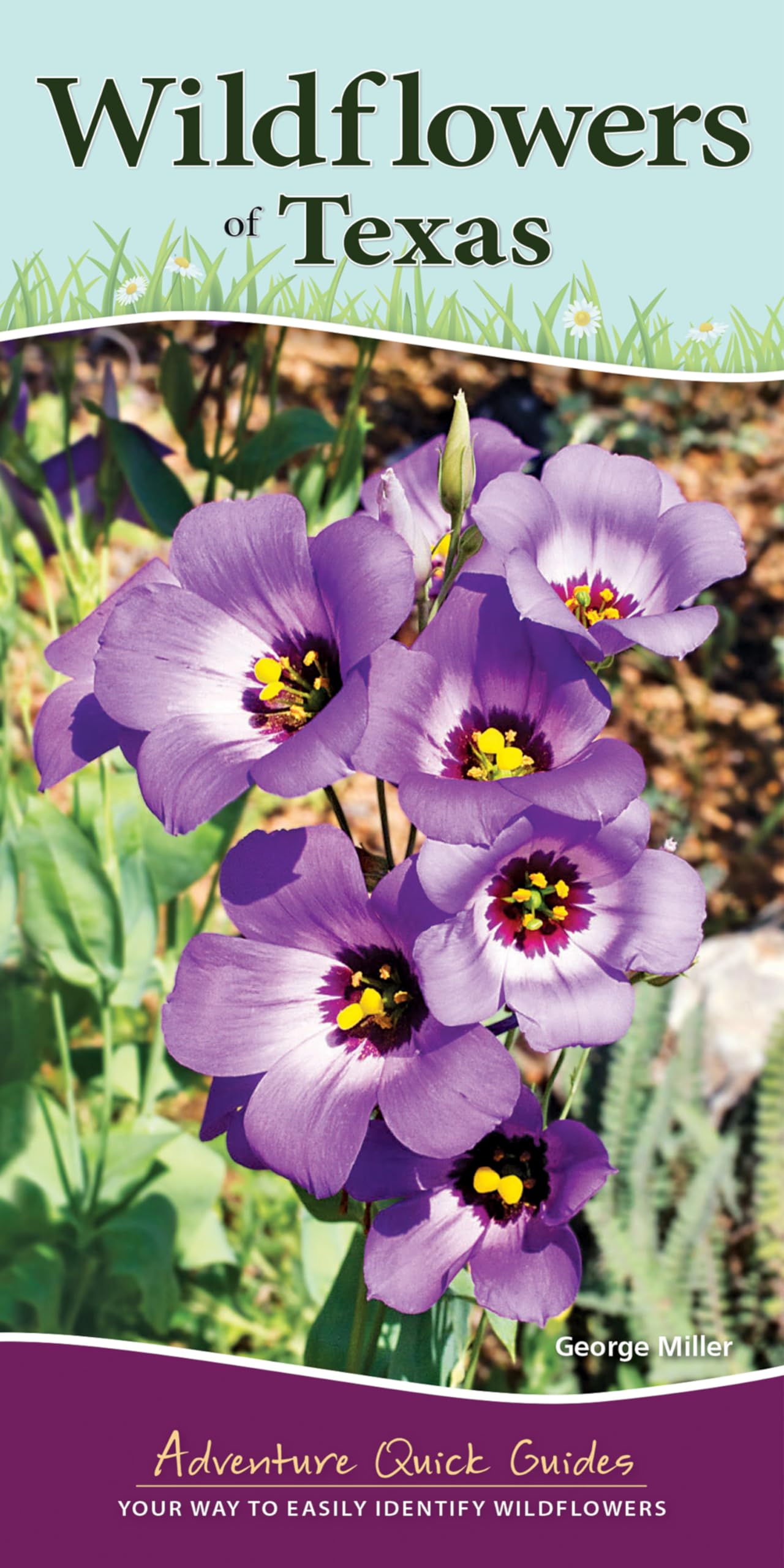 Wildflowers of Texas: Your Way to Easily Identify Wildflowers (Adventure Quick Guides)