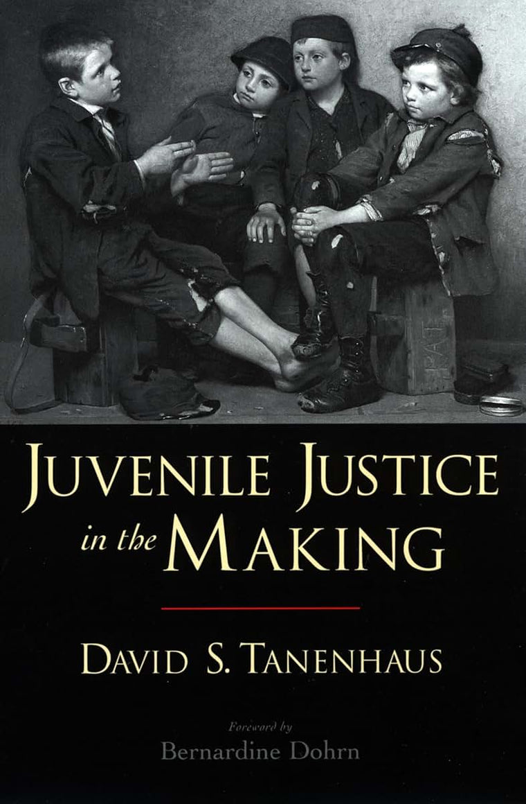 Juvenile Justice in the Making (Studies in Crime and Public Policy)
