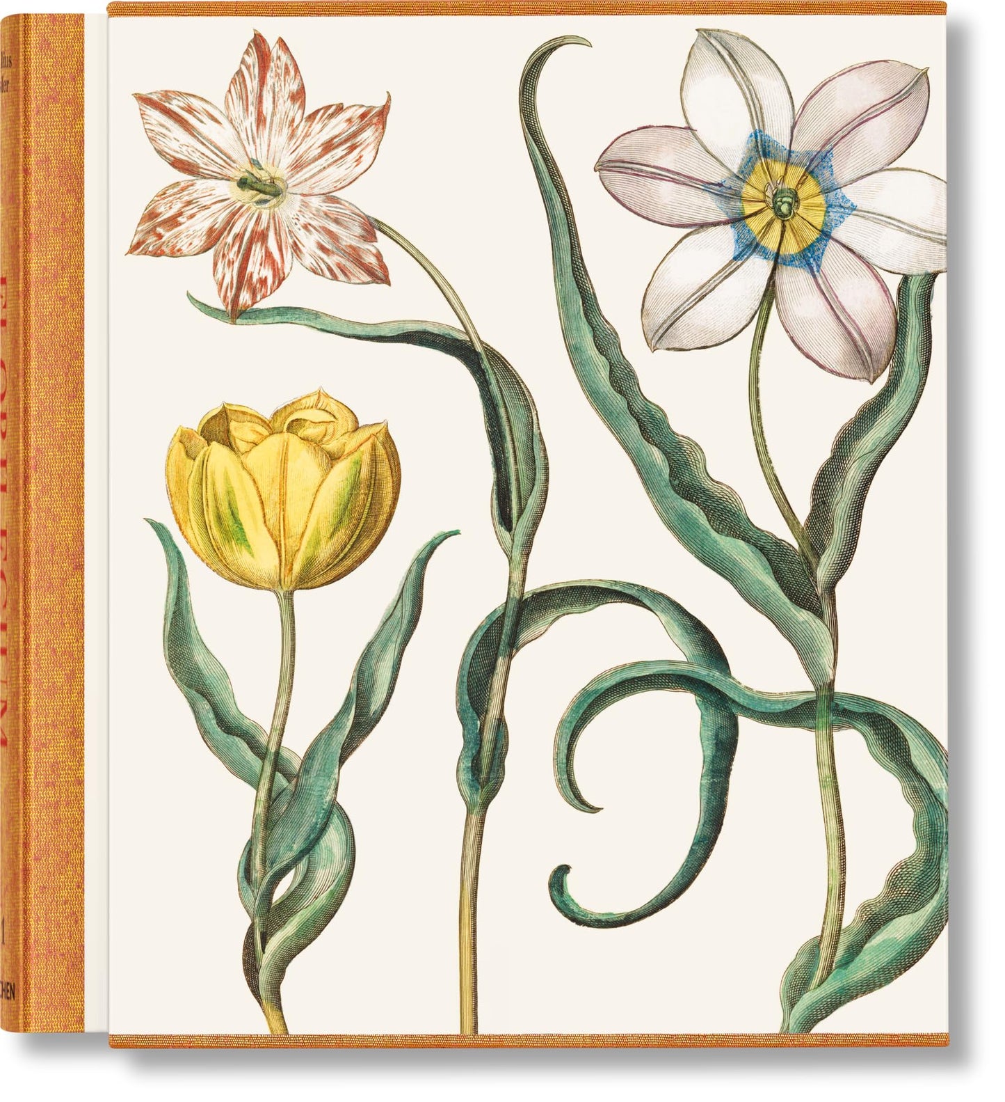 Basilius Besler. The Garden at Eichsttt (Classics) (Multilingual Edition)