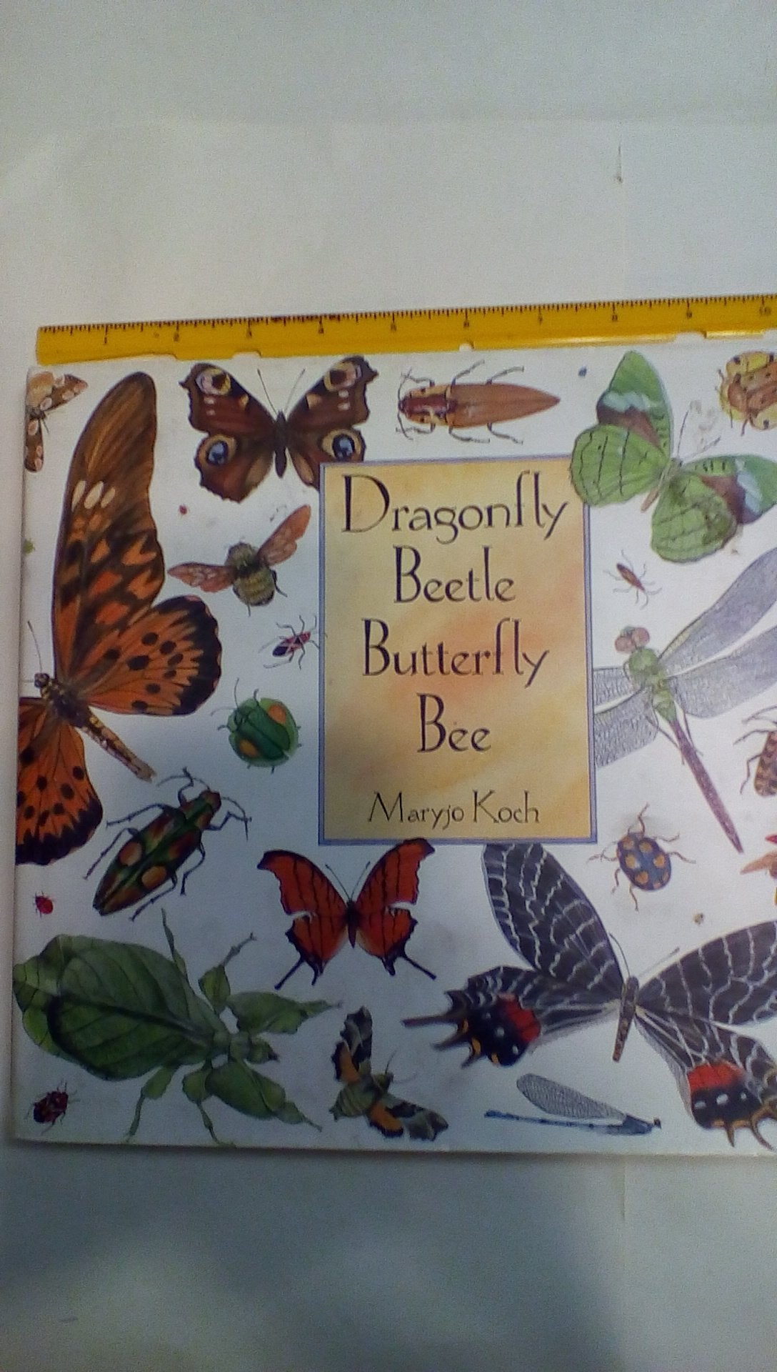 Dragonfly Beetle Butterfly Bee