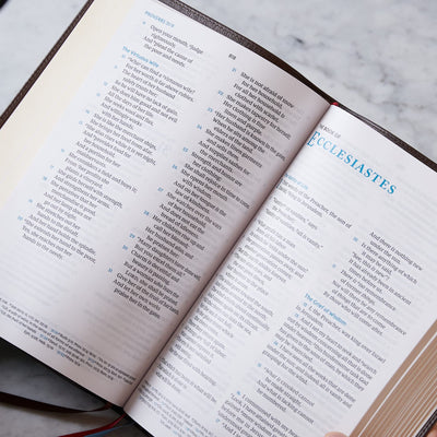 NKJV, Large Print Verse-by-Verse Reference Bible, Maclaren Series, Leathersoft, Black, Comfort Print: Holy Bible, New King James Version