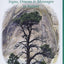 Nature-Speak: Signs, Omens and Messages in Nature