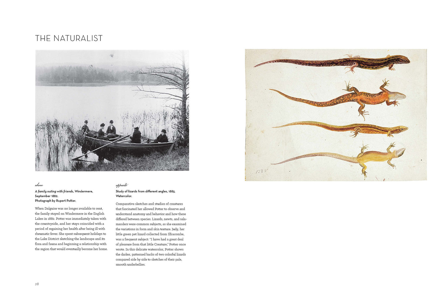The Art of Beatrix Potter: Sketches, Paintings, and Illustrations