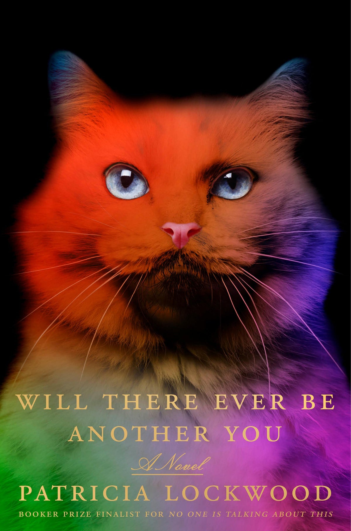 Will There Ever Be Another You: A Novel