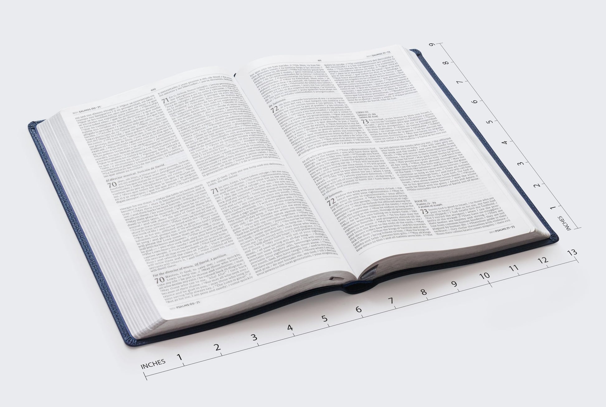 NIV/NVI Bilingual Bible, Revised Text 2022, Leathersoft, Navy / NIV/NVI, Biblia Bilinge, Revisin 2022, Leathersoft, Azul ail (Spanish Edition)