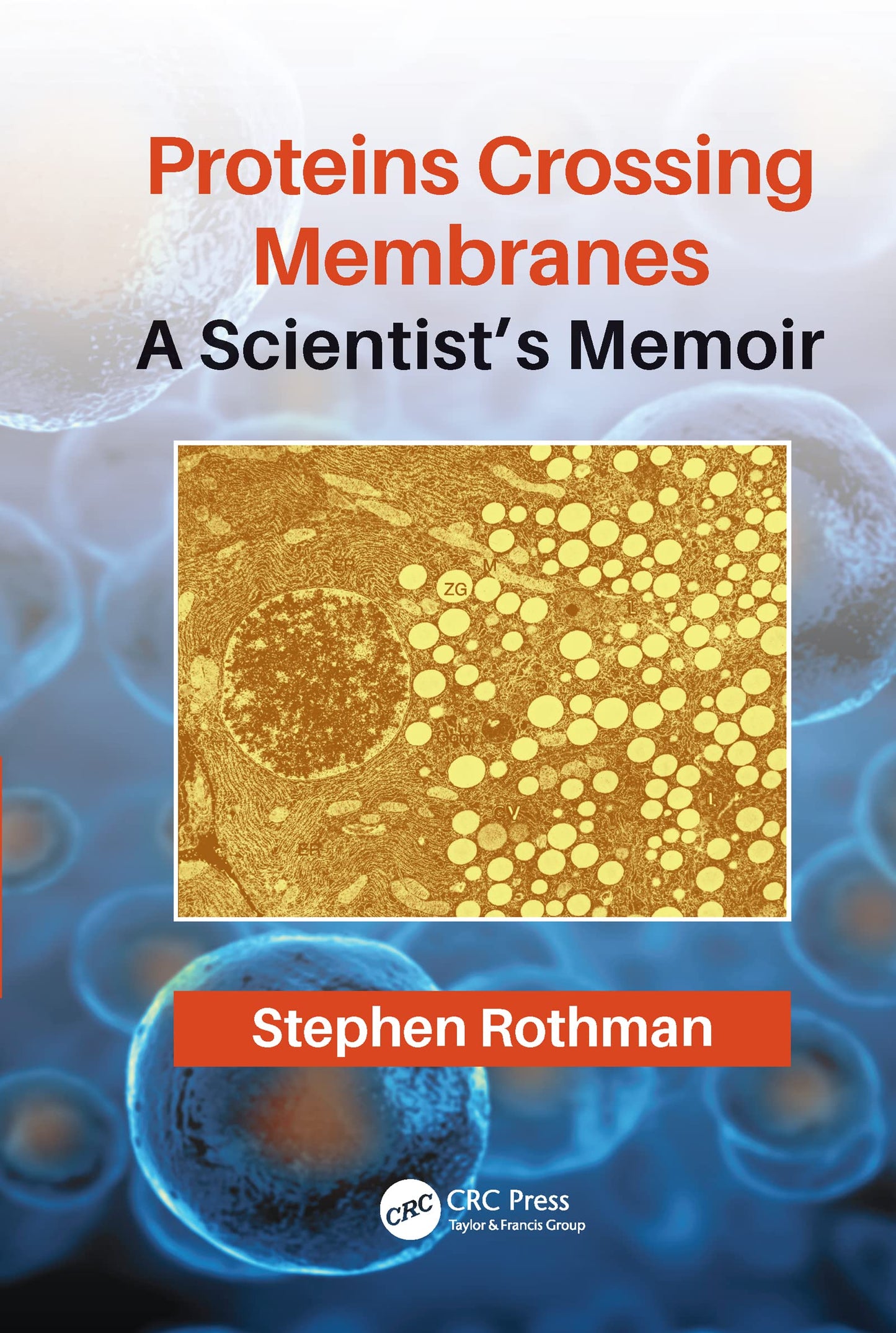 Proteins Crossing Membranes: A Scientists Memoir