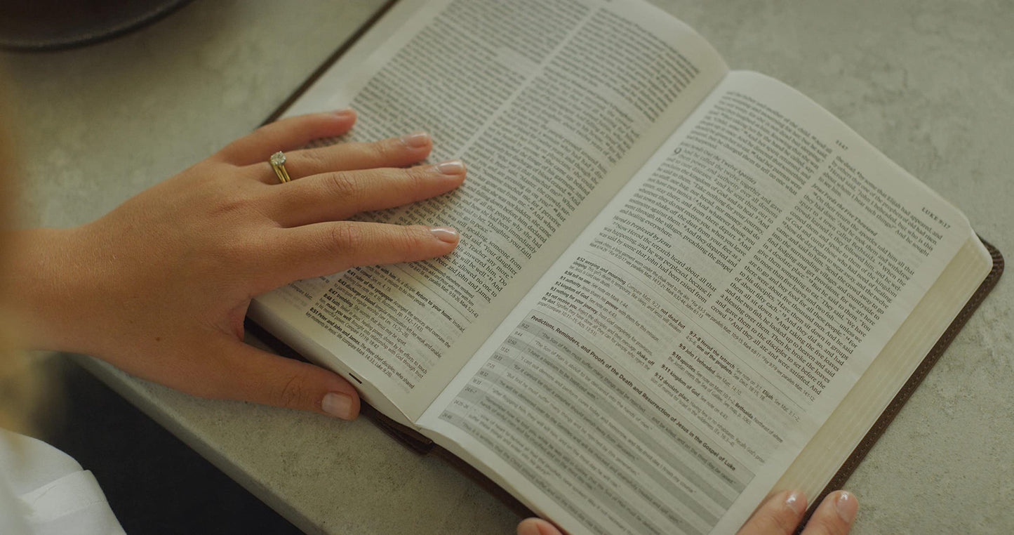 ESV Concise Study Bible (TruTone, Brown): Holy Bible, English Standard Version