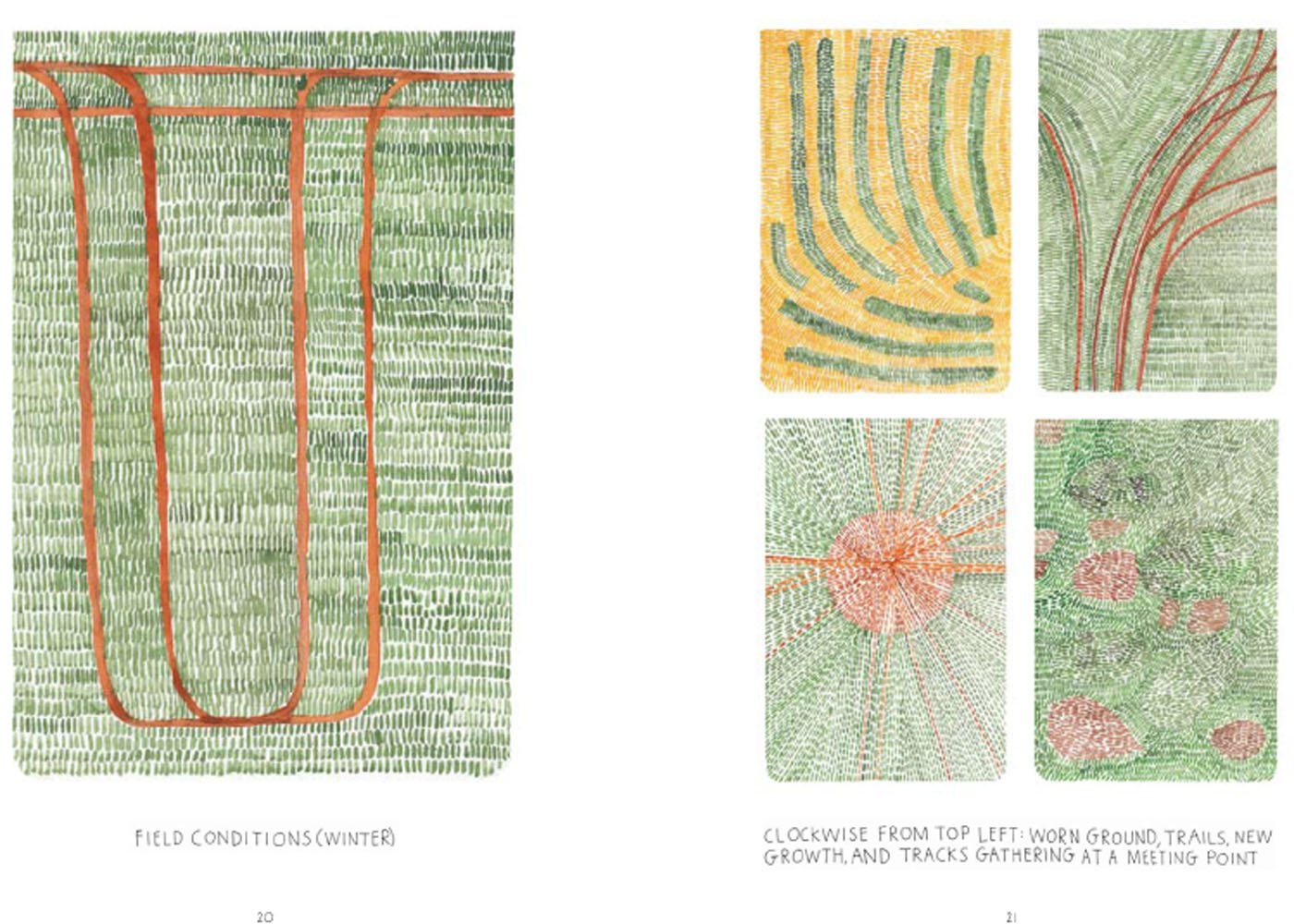 In The Wilds: Drawings by Nigel Peake