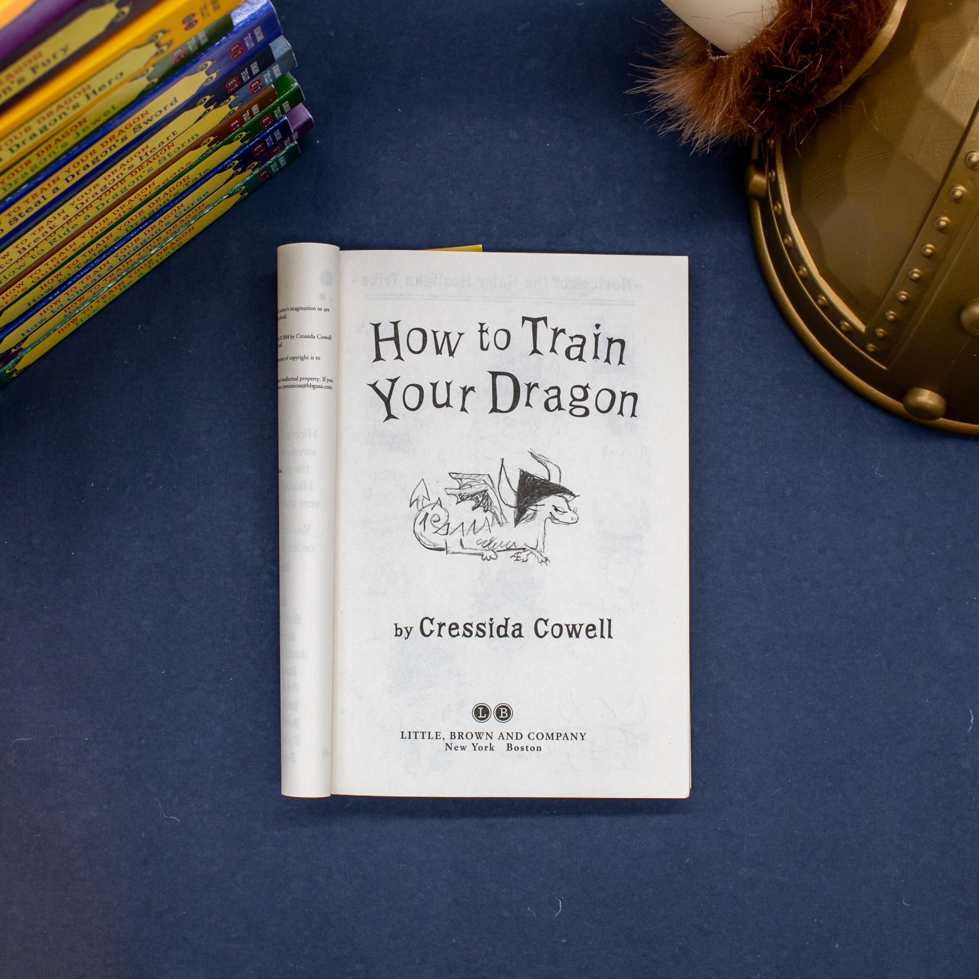 How to Train Your Dragon