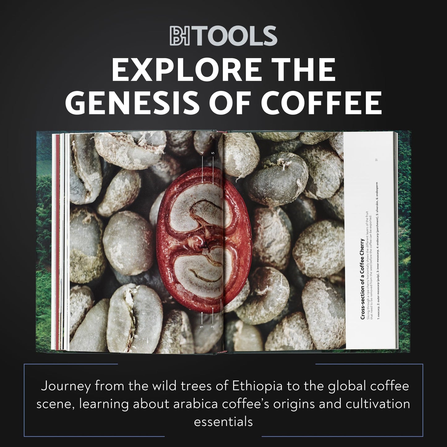 Barista Hustle Tools Terroir Book: An Enlightening Journey Through the World of Coffee Cultivation, From the Soil to Your Cup (Hardcover)