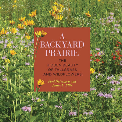 A Backyard Prairie: The Hidden Beauty of Tallgrass and Wildflowers