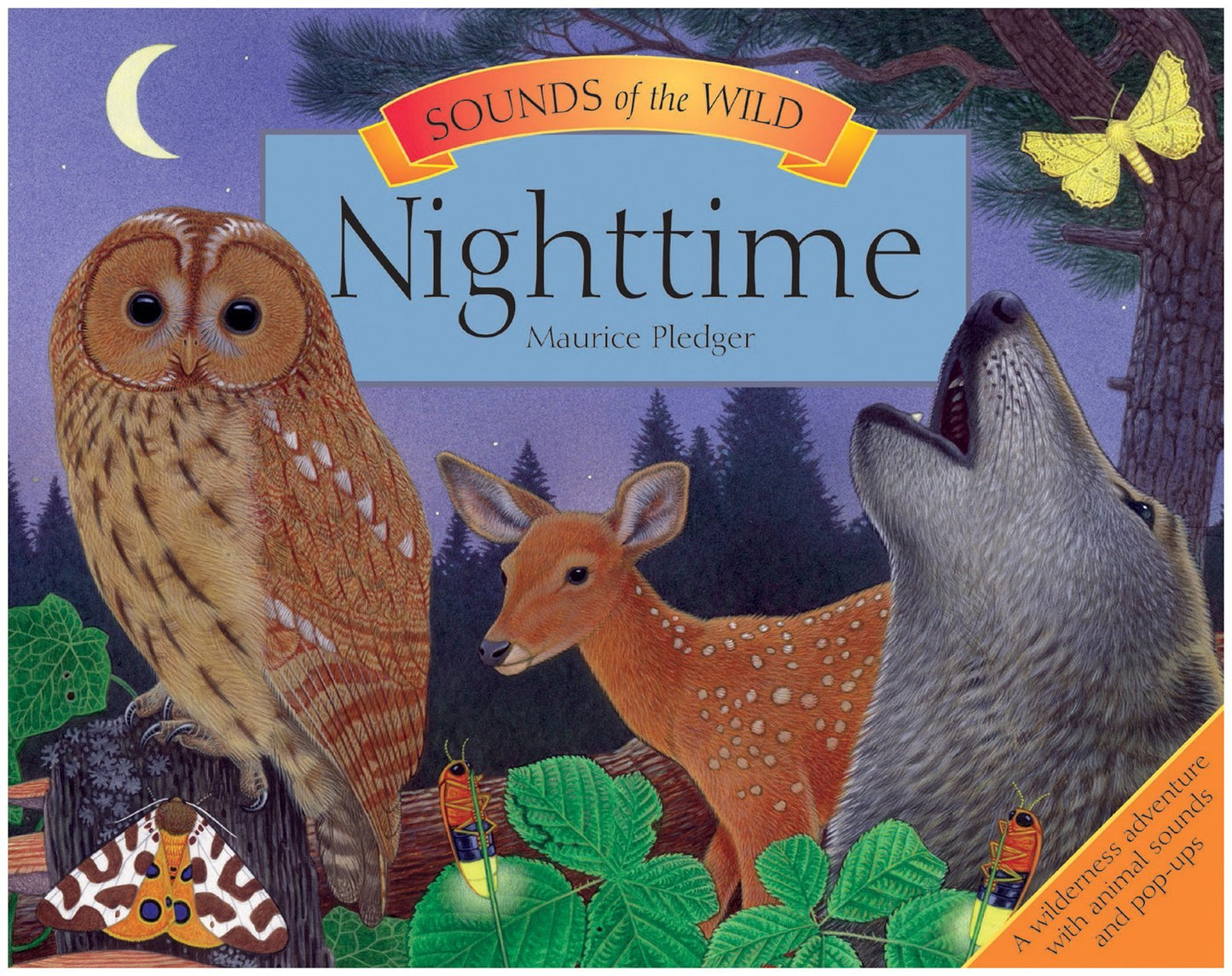 Sounds of the Wild: Nighttime (Pledger Sounds) by Pledger, M
