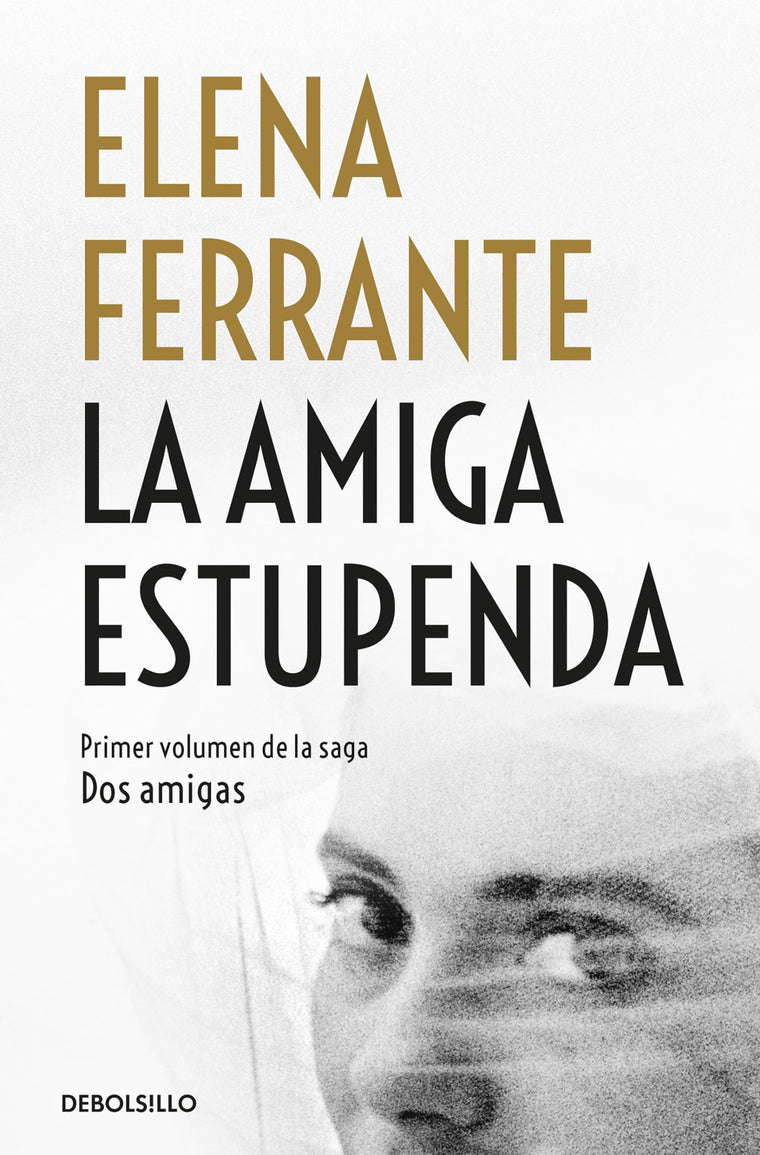 Saga La amiga estupenda / My Brilliant Friend Saga (Dos Amigas / Neapolitan Novels) (Spanish Edition)