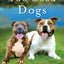 Two Good Dogs: A Novel