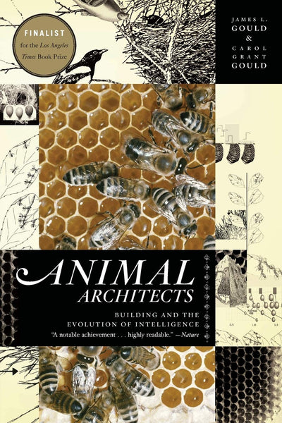 Animal Architects: Building and the Evolution of Intelligence