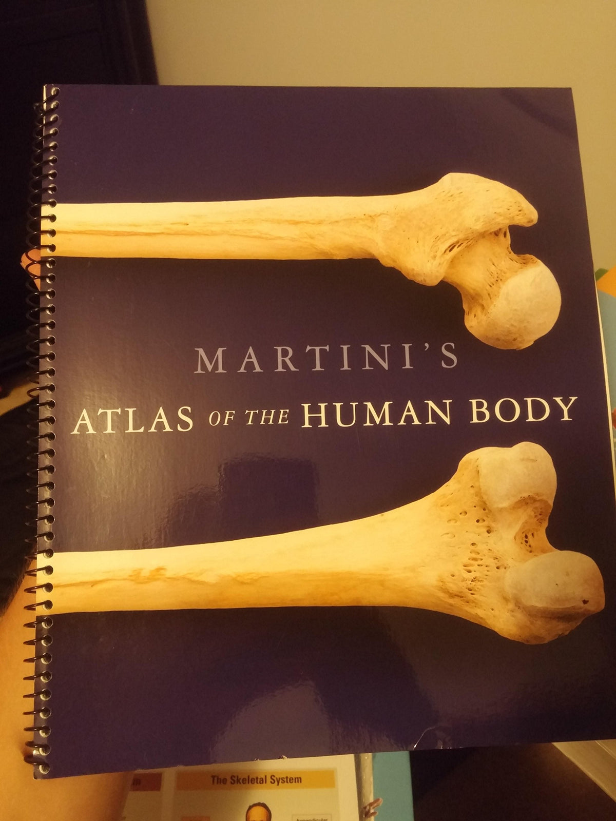 Visual Anatomy & Physiology