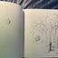 Looking ... seeing: Poems and song lyrics by Chapin, Harry