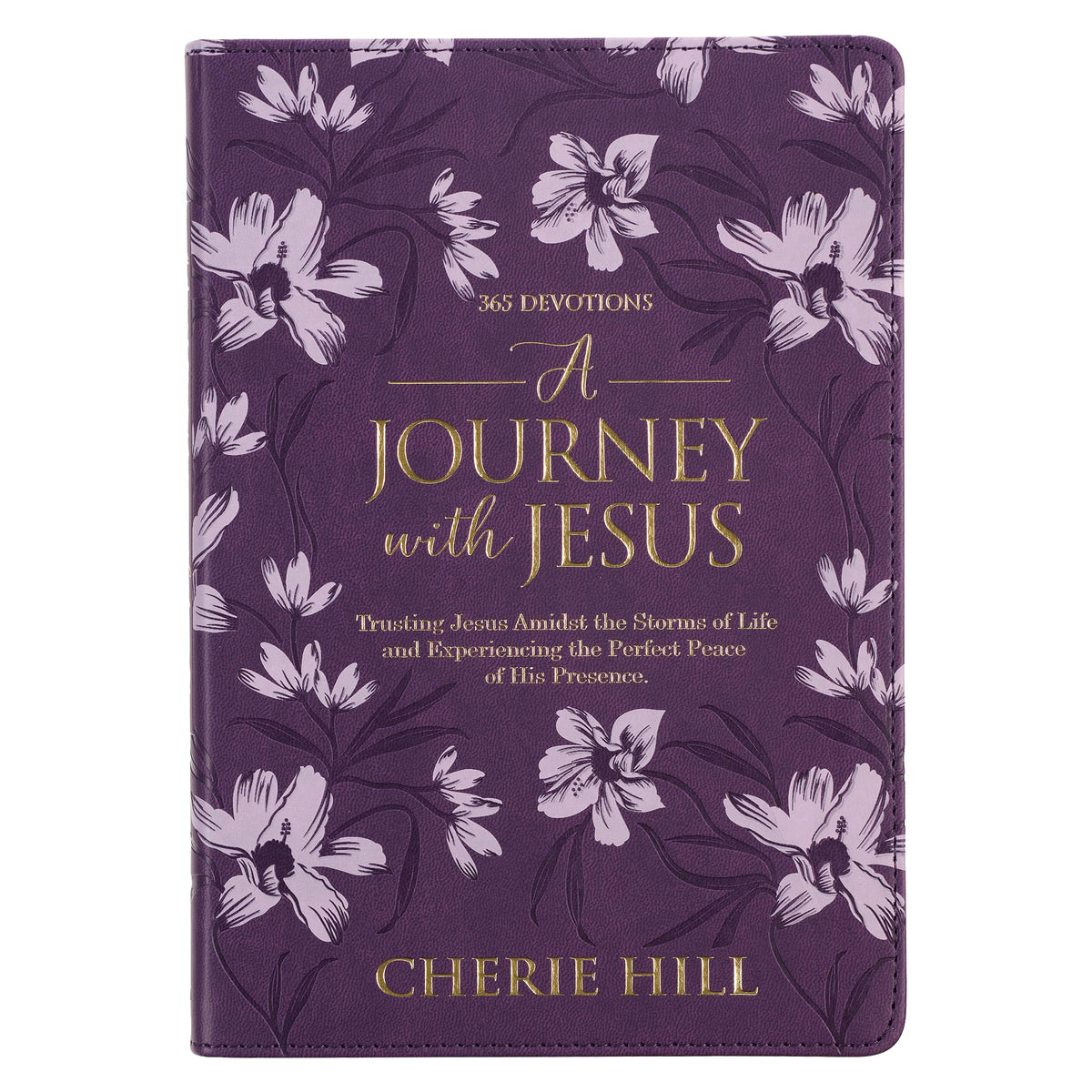 A Journey with Jesus
