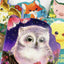 A Little Owl
