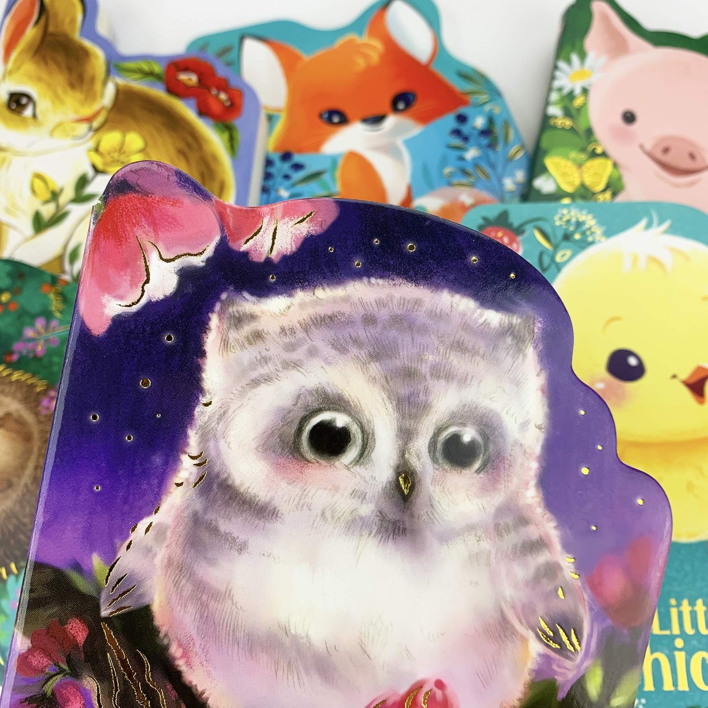 A Little Owl