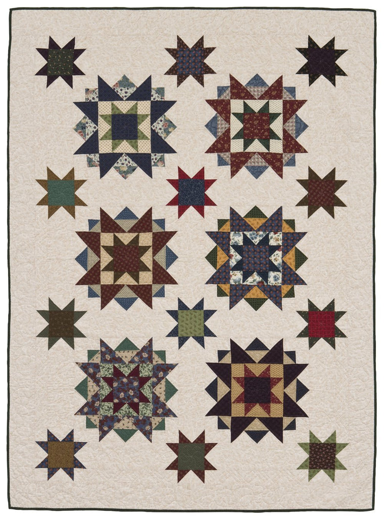 Crazy for Scraps: 19 Favorite Quilts from Sally Schneider — back cover