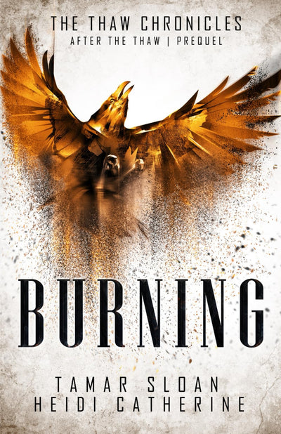 Burning: Prequel After the Thaw (The Thaw Chronicles)