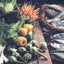 Foods That Harm, Foods That Heal: An A - Z Guide to Safe and Healthy Eating