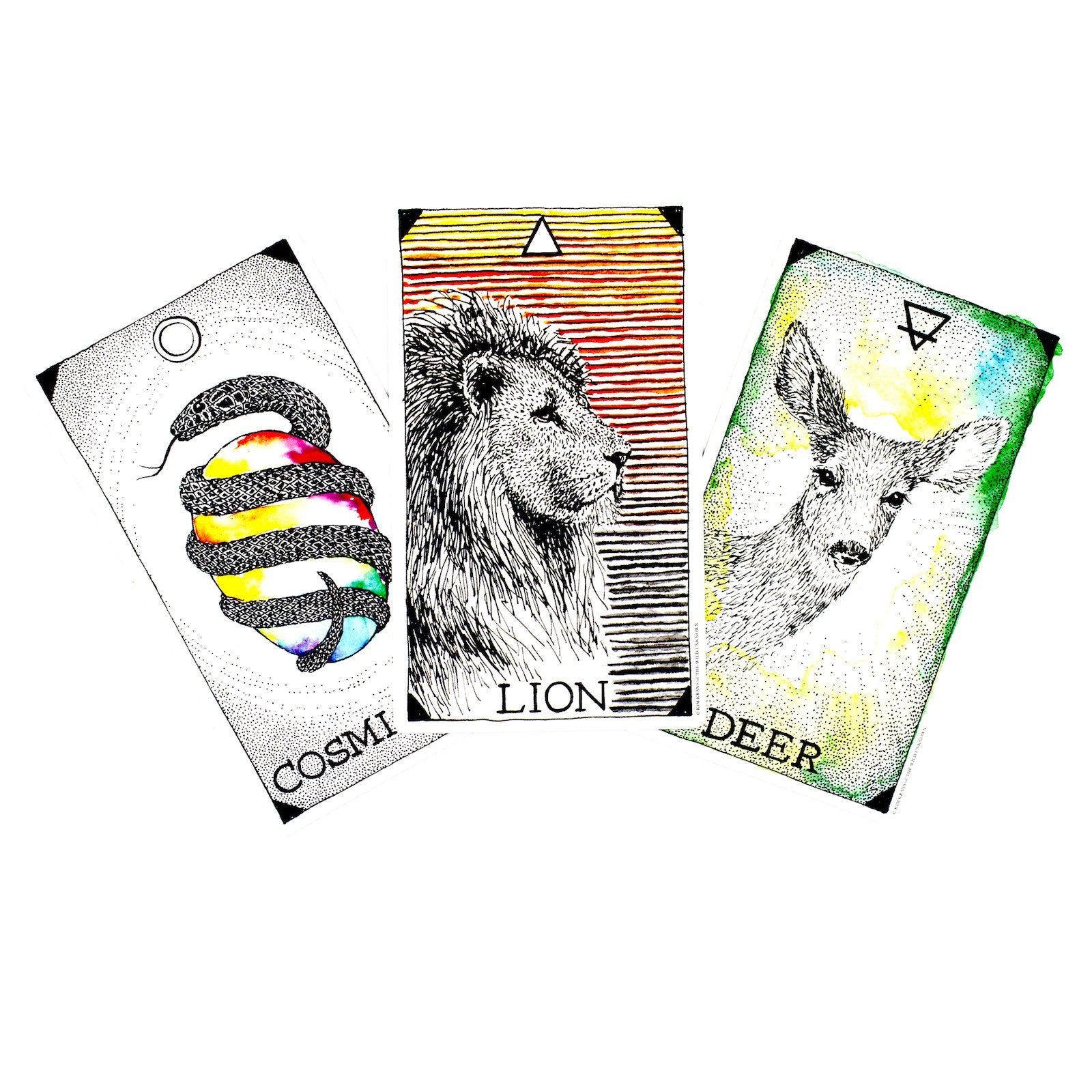 The Wild Unknown Animal Spirit Deck and Guidebook (Official Keepsake Box Set)