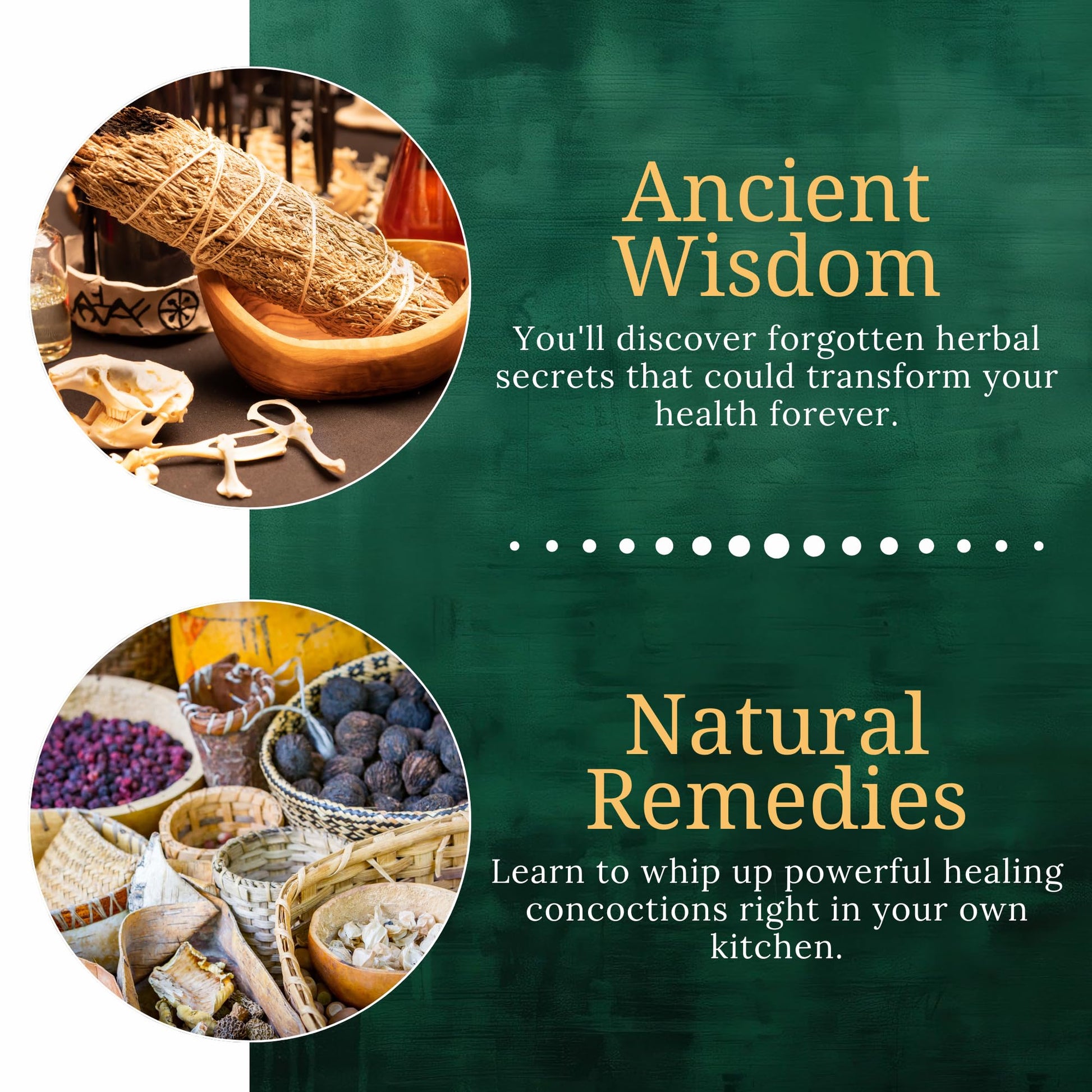 Lost Native American Herbalist's Secrets [All-in-1]: Rediscover the Forgotten Power of 150 Transformative Herbs. Build Your Own Healing Garden and Use Ancient Herbal Practices for Modern Living