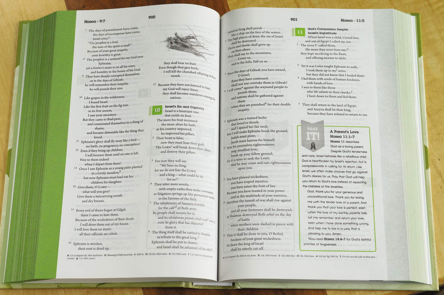 NRSV, The Guidebook, Hardcover: The NRSV Student Bible by Zo