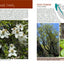California Trees: A field guide to the native species