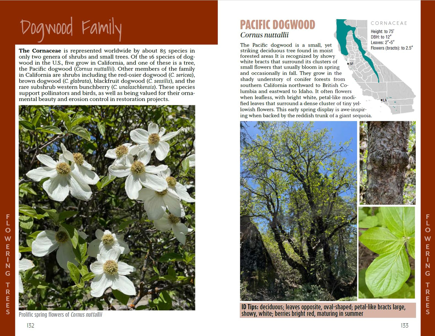 California Trees: A field guide to the native species