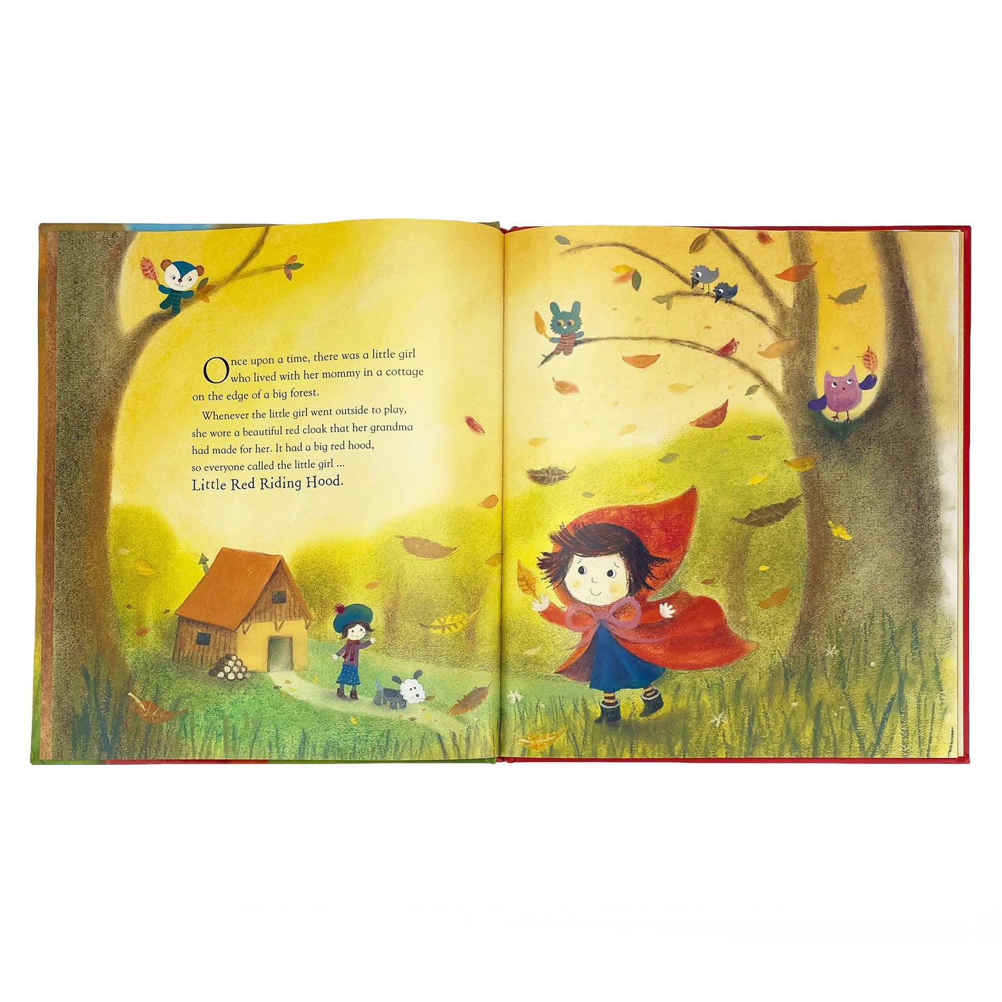 Little Red Riding Hood by Gaby Goldsack (Board Book)