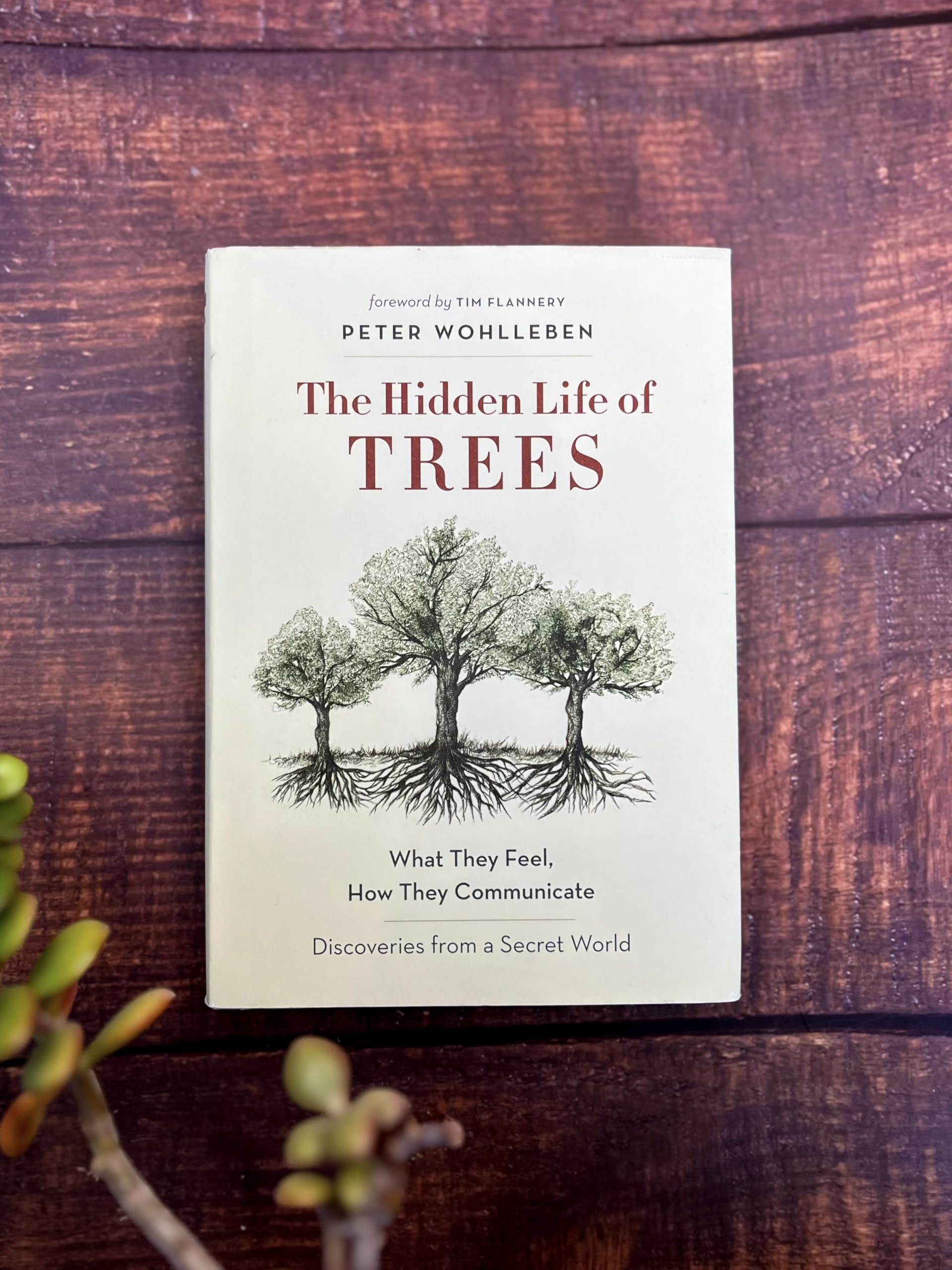 The Hidden Life of Trees: What They Feel, How They Communicate-Discoveries from A Secret World (The Mysteries of Nature, 1)