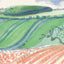 David Hockney: A Yorkshire Sketchbook