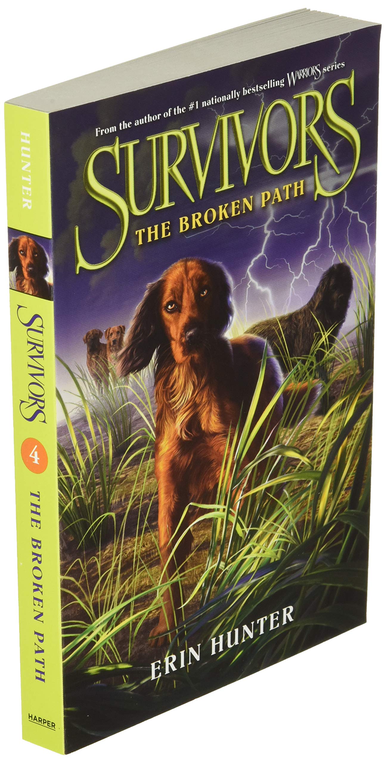 Survivors #4: The Broken Path