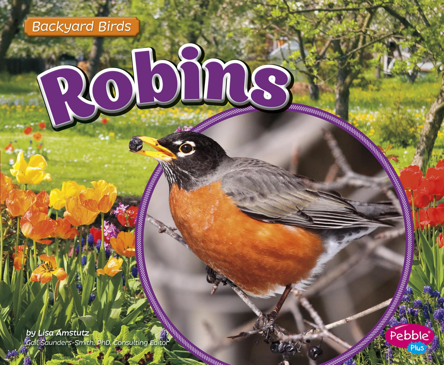 Robins (Backyard Birds)
