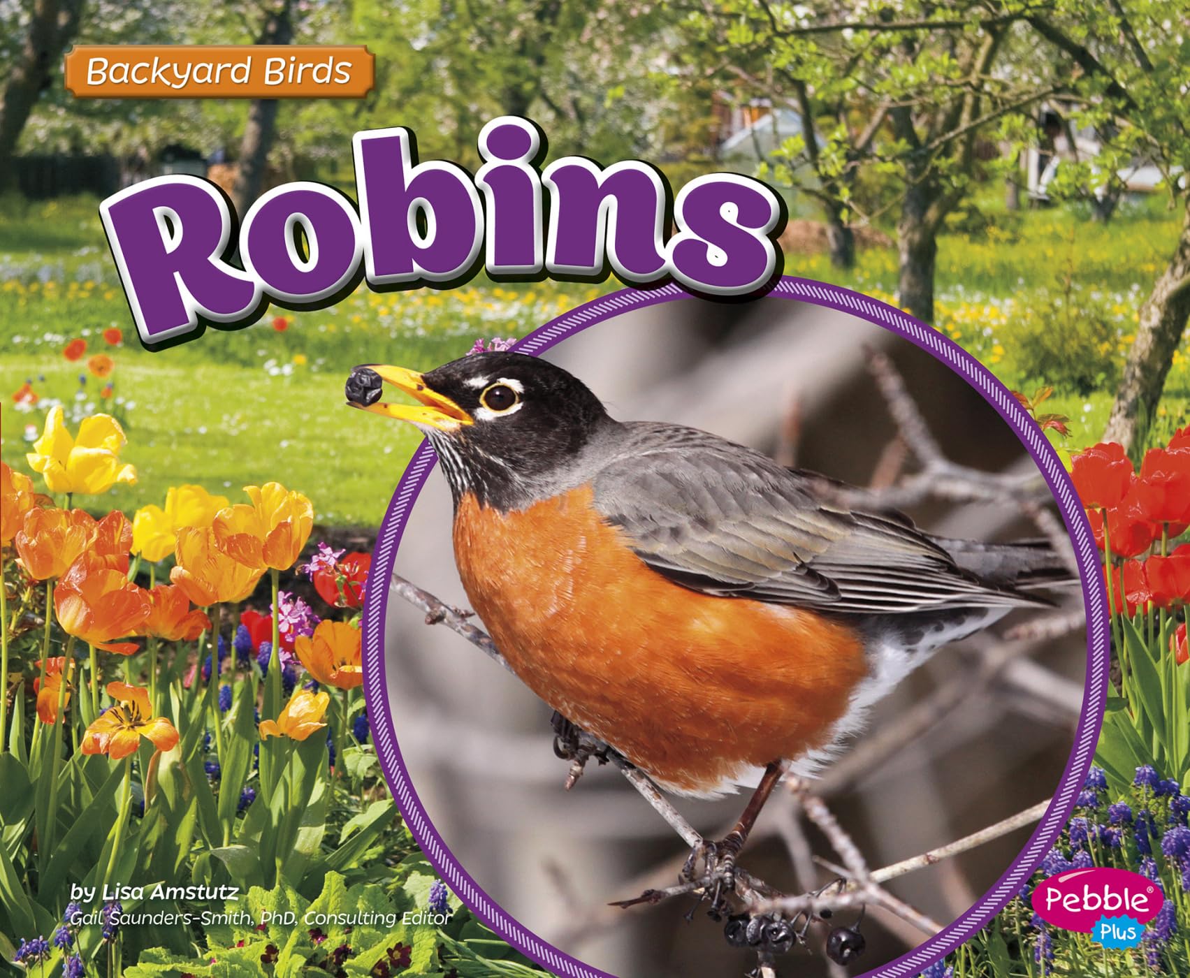 Robins (Backyard Birds)