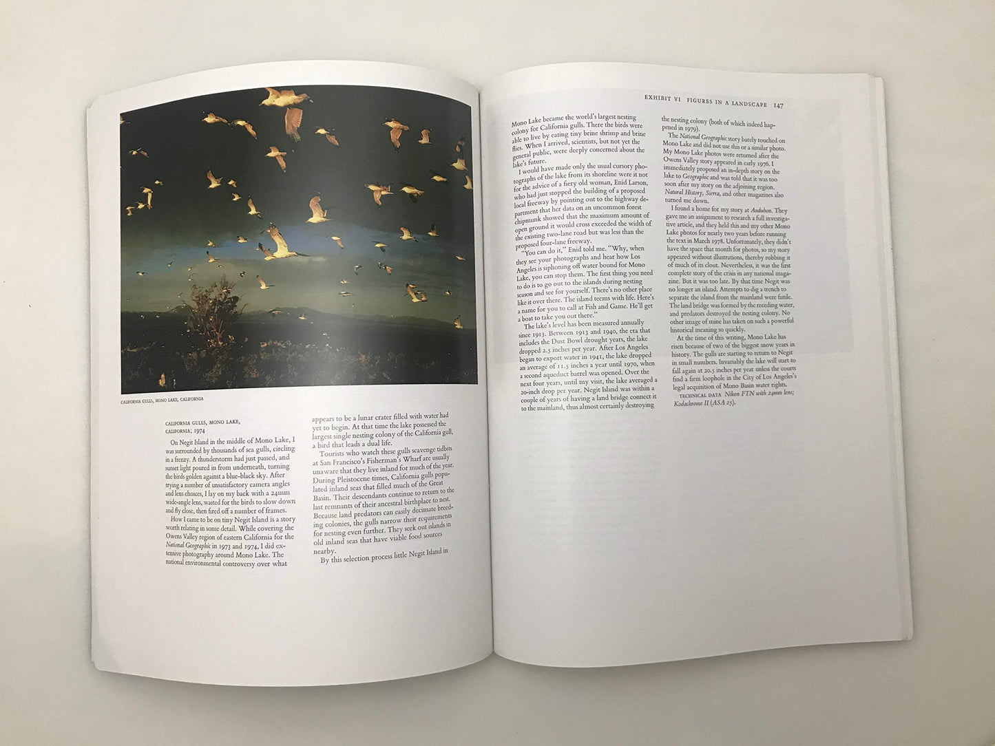 Mountain Light: In Search of the Dynamic Landscape
