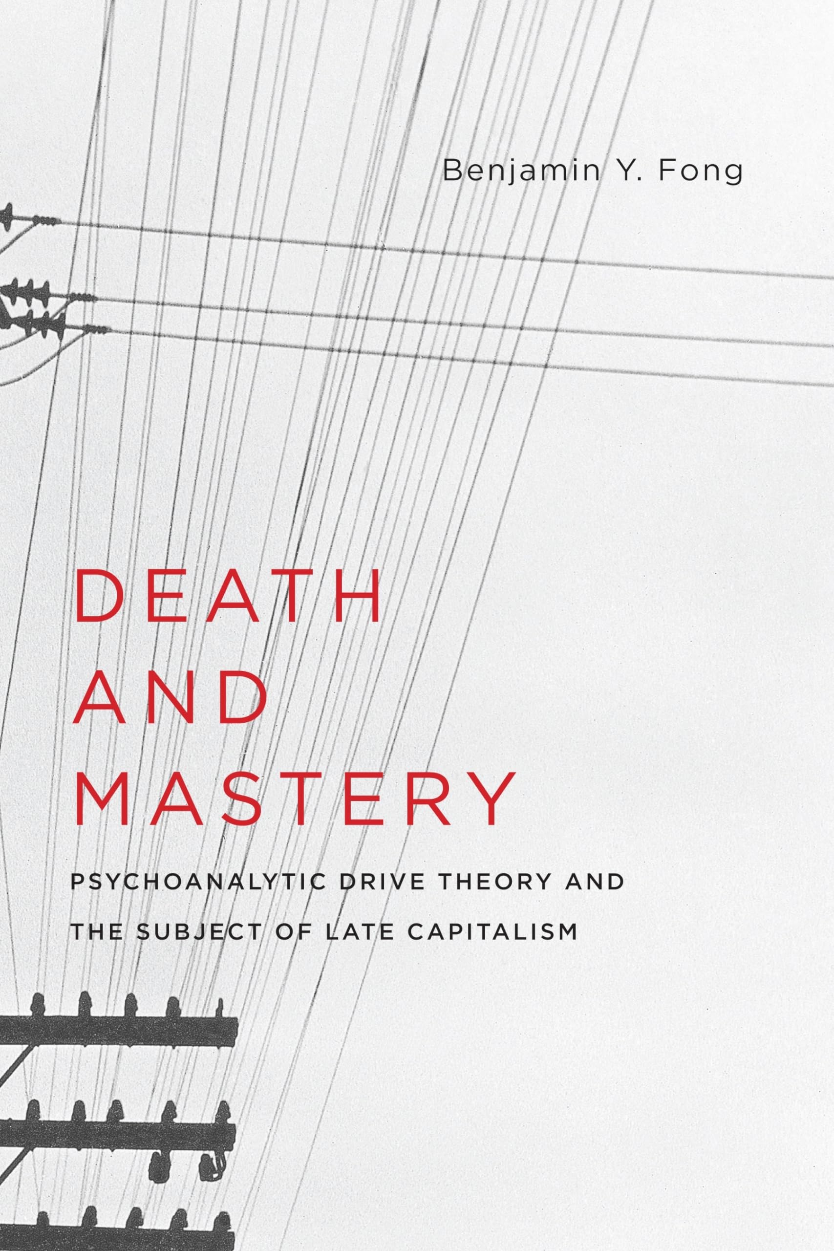 Death and Mastery: Psychoanalytic Drive Theory and the Subject of Late Capitalism (New Directions in Critical Theory, 61)