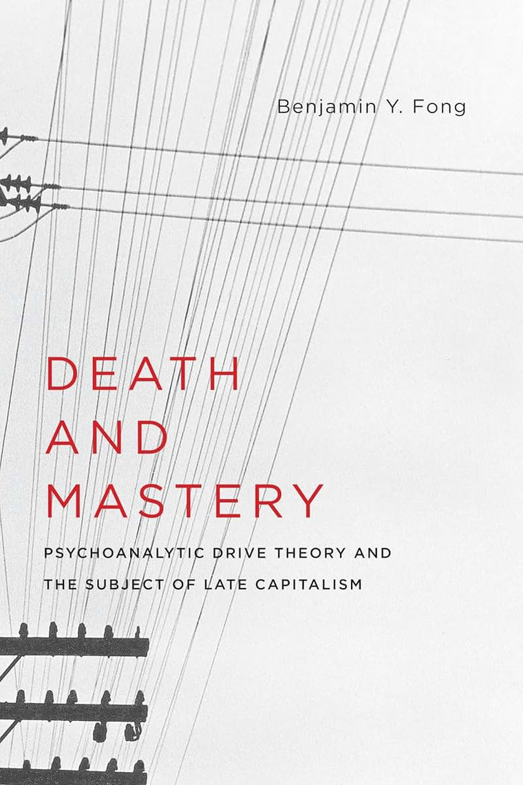Death and Mastery: Psychoanalytic Drive Theory and the Subject of Late Capitalism (New Directions in Critical Theory, 61)