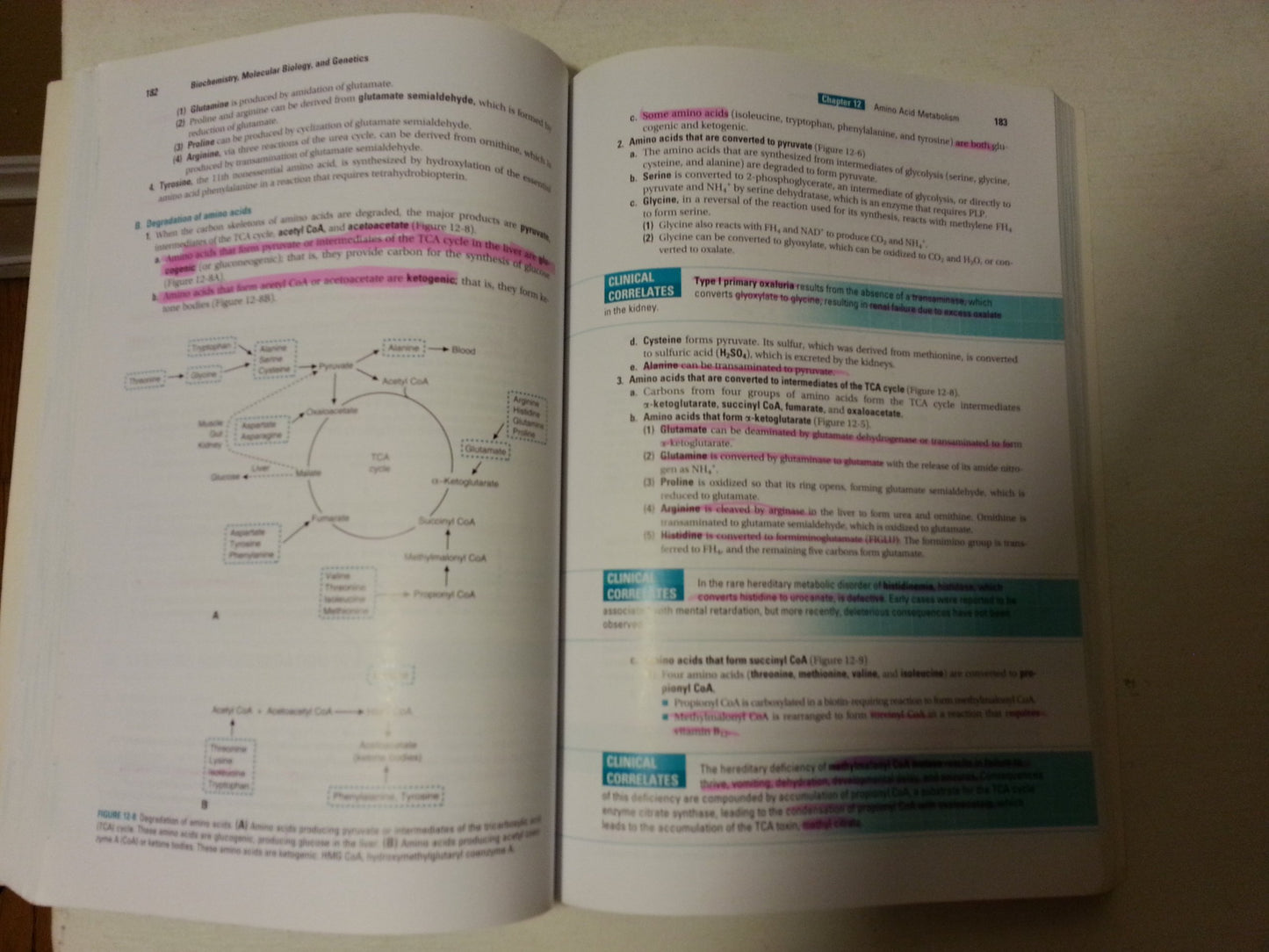 BRS Biochemistry, Molecular Biology, and Genetics, Fifth Edition (Board Review Series)
