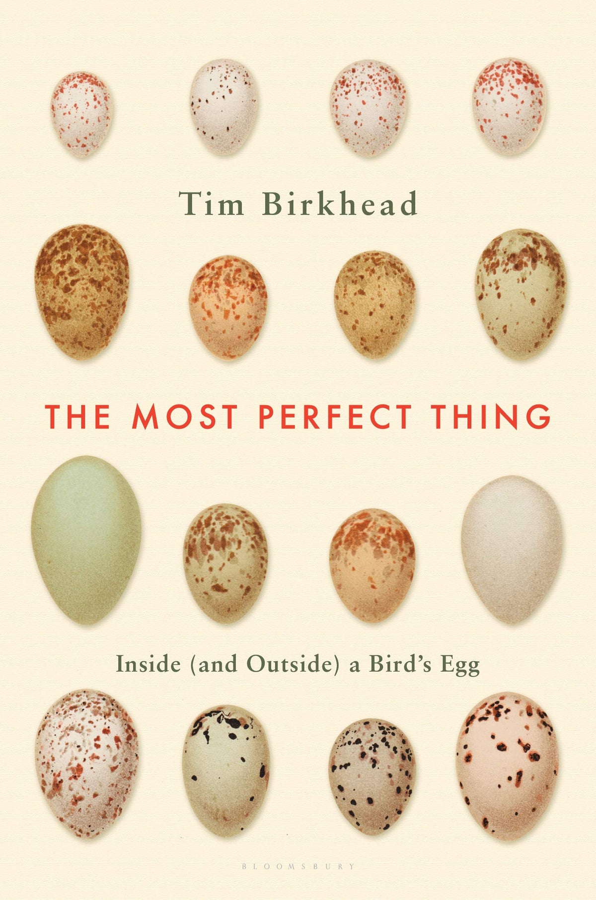 The Most Perfect Thing: Inside (and Outside) a Birds Egg