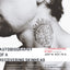 Autobiography of a Recovering Skinhead: The Frank Meeink Sto