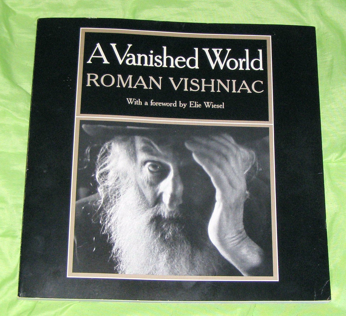 A Vanished World by Roman Vishniac