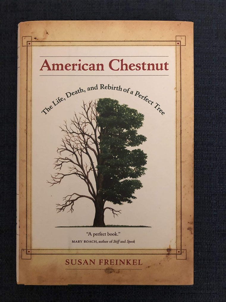 American Chestnut: The Life, Death, and Rebirth of a Perfect Tree