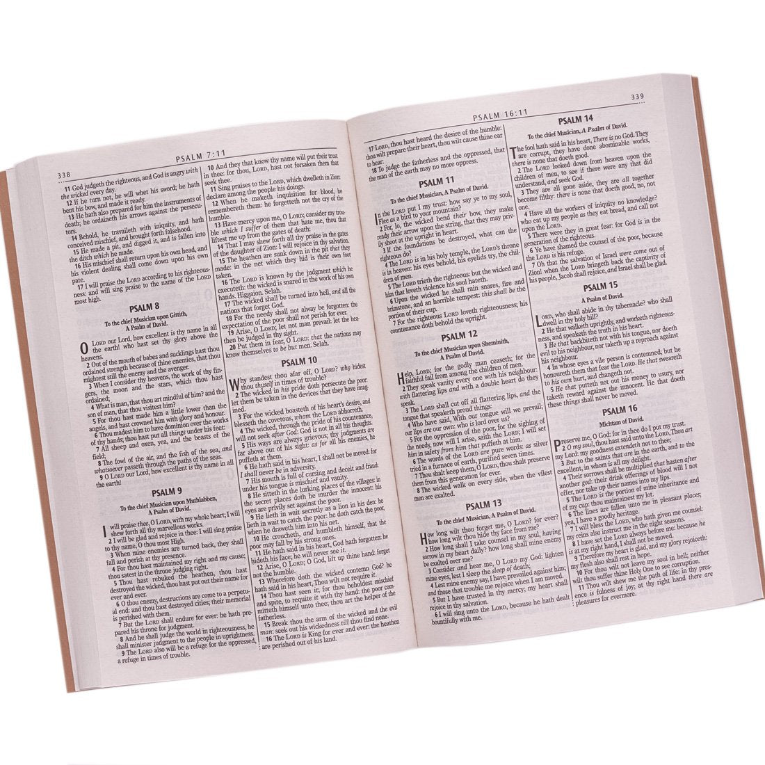 KJV Holy Bible, Gift and Award Bible - Softcover, King James Version, Antique Gold (KJV Gift Award Editions)