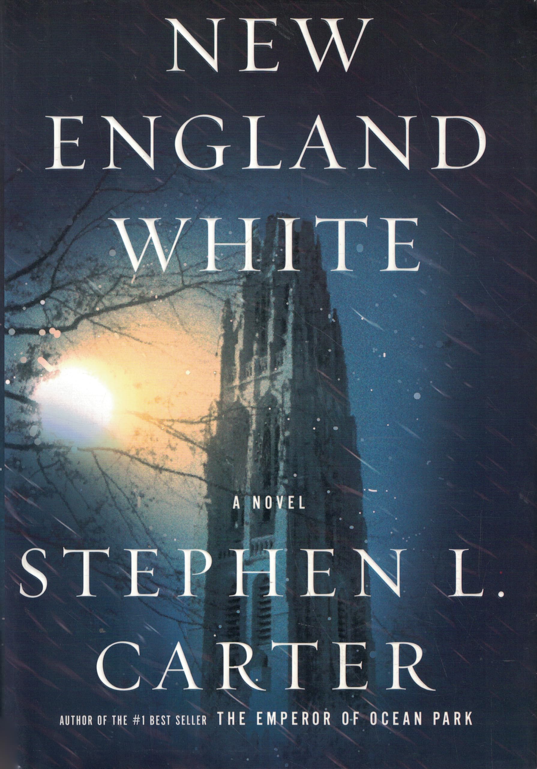 New England White: A Novel