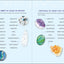 Crystals Journal: Integrate the Healing Powers of Crystals Into Your Life